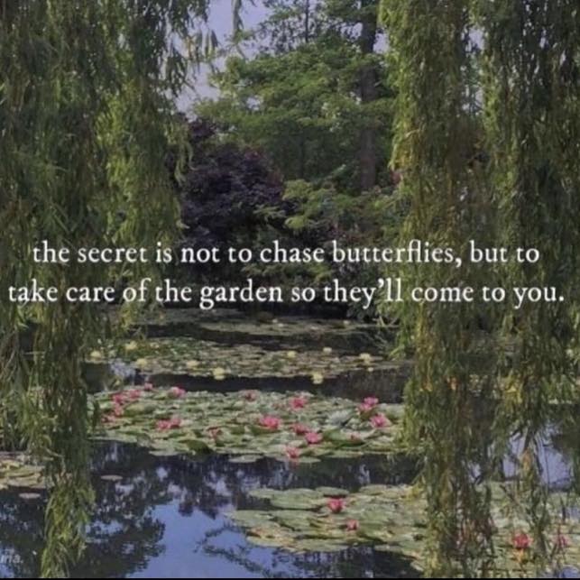 This meme is a humorous image that juxtaposes a serene and peaceful scene of a pond with a famous painting by Claude Monet, "The Water Lilies," with a quote that seems to be a misquote of the actual quote "The more I learn, the more I realize how much I don't know." The actual quote is not present in the image. The actual quote is a quote from the famous artist, and the image is a quote from the famous artist.